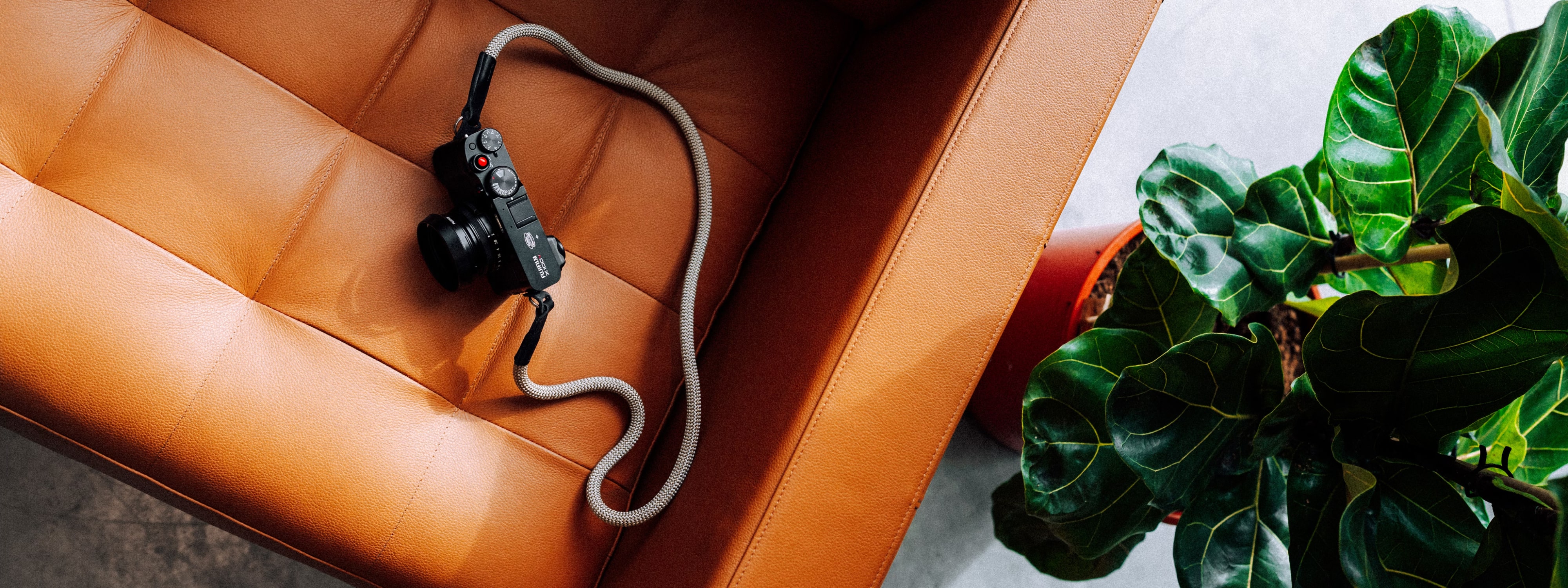Camera with coiled strap resting on leather seat near potted plant